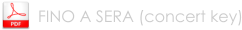 FINO A SERA (concert key)