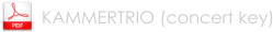 KAMMERTRIO (concert key)