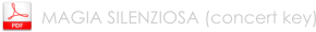 MAGIA SILENZIOSA (concert key)