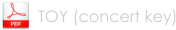 TOY (concert key)