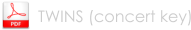 TWINS (concert key)