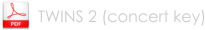 TWINS 2 (concert key)