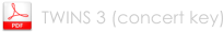TWINS 3 (concert key)