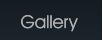 Gallery Gallery